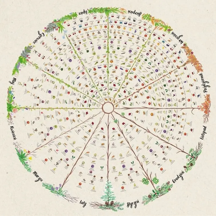 sezonowe warzywa i owoce plakat