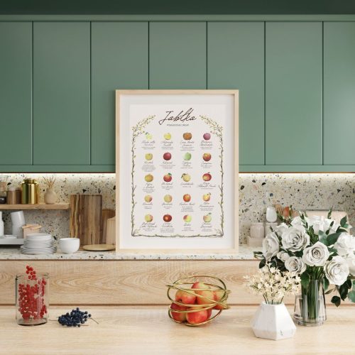 plakat kuchenny jabłka stare odmiany