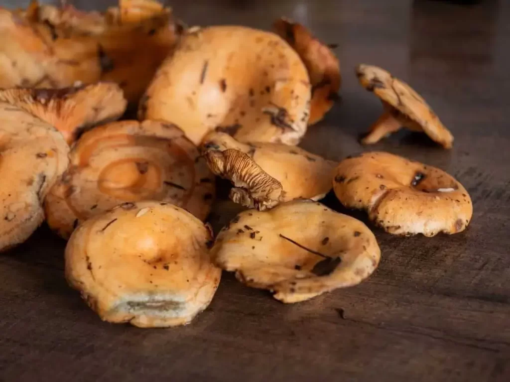 superfoods grzyby