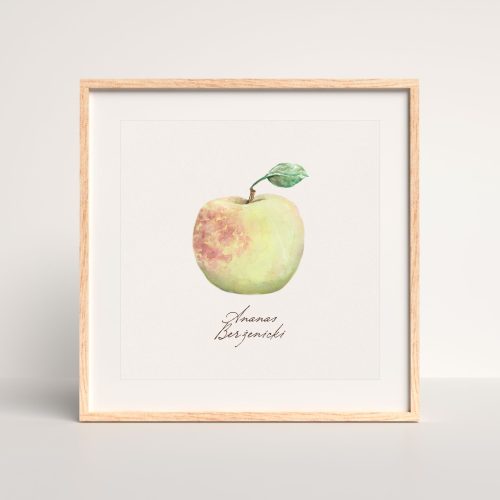 Plakat Ananas Berżenicki jabłko