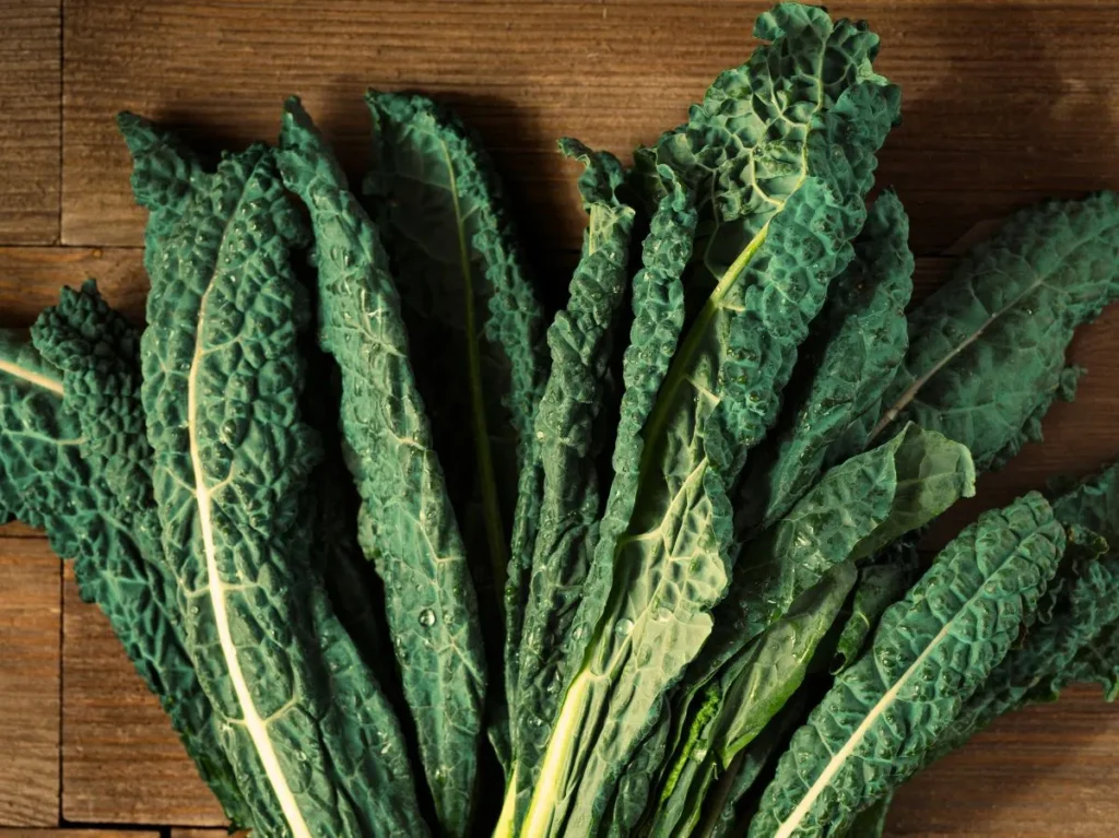 jadłospis na tydzień z listą zakupów